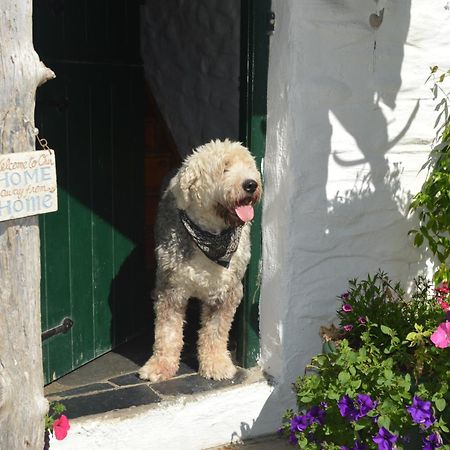 Lissyclearig Thatched Cottage Kenmare Luaran gambar