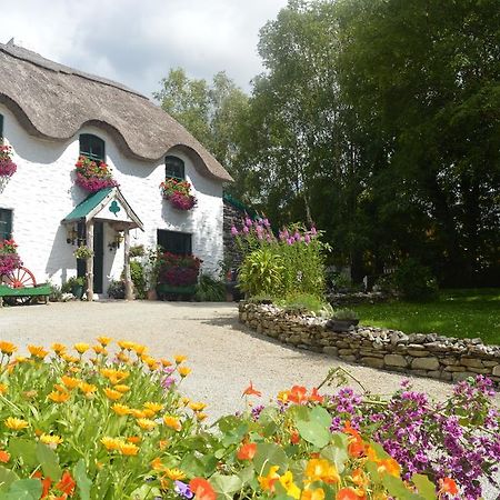 Lissyclearig Thatched Cottage Kenmare Luaran gambar