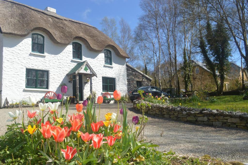 Lissyclearig Thatched Cottage Kenmare Luaran gambar
