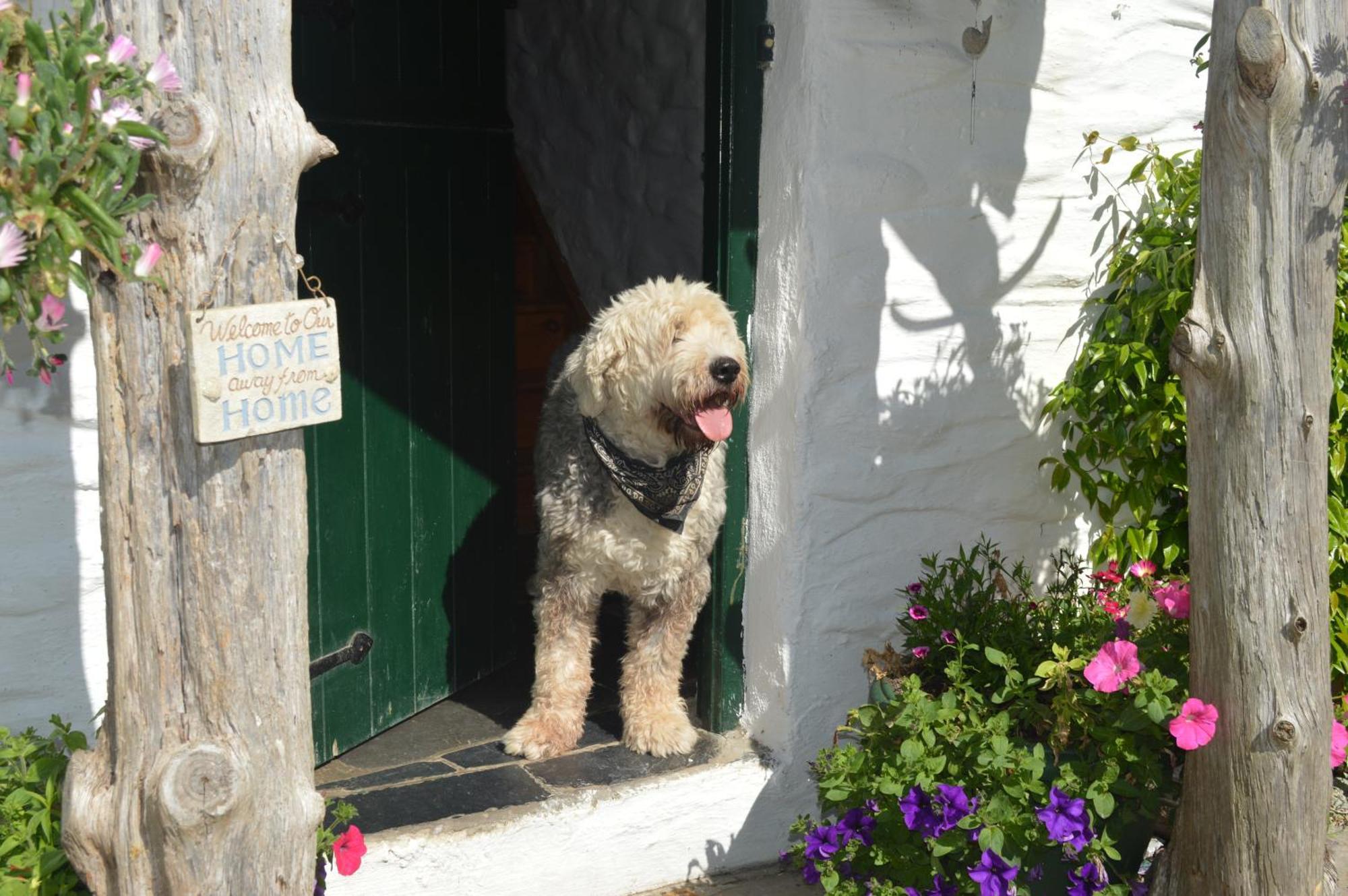Lissyclearig Thatched Cottage Kenmare Luaran gambar